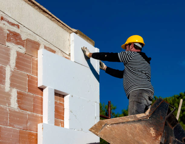 Best Commercial Insulation Contractor  in Long Grove, IA