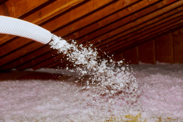 Best Soundproof Insulation Installation  in Long Grove, IA