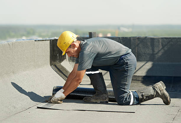 Best Insulation Repair Services  in Long Grove, IA