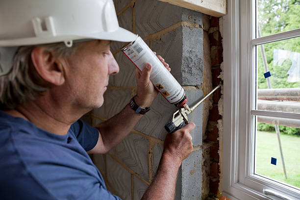 Best Insulation Contractors for Homes  in Long Grove, IA