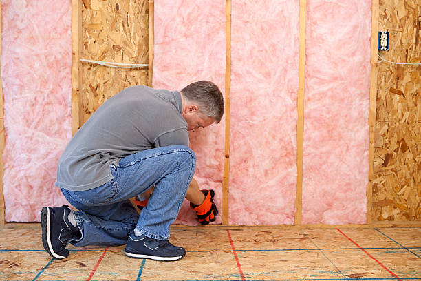 Best Spray Foam Insulation  in Long Grove, IA